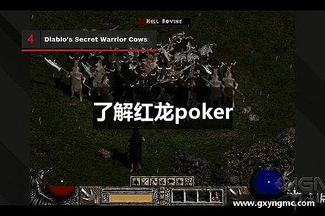 了解红龙poker